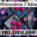 Rhinocéros 7 Bêta 14